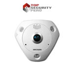 12. HK DS2CD6362F IVS